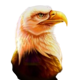 mustang money rings of fortune eagle symbol