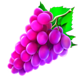 mystery coin 243 grape symbol