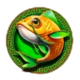 mystical dragons fish symbol