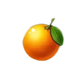 neonix fortune orange symbol