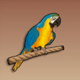 pieces of eight macaw symbol