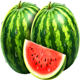 piggy bank coinstorm watermelon symbol