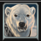 polar magic polar bear symbol