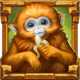 rainforest magic hp monkey