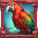 rainforest magic hp parrot