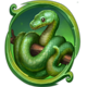 rainforest magic mp snake
