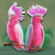 redroo bird symbol