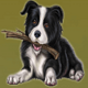 redroo dog symbol