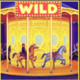 reel coaster wild symbol