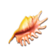 rtg mermaids pearls shell 2 symbol