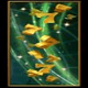 ruby casino queen seven symbol