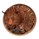 safari expedition leopard symbol