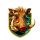 safari shoot boar symbol
