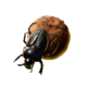 safari shoot bug symbol