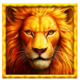savannah strike extra lion symbol
