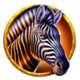savannah strike extra zebra symbol