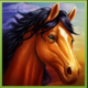 screenshot 2025-02-25 055119