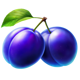 silver coins plum symbol