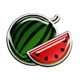 sparkling fresh watermelon symbol