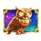 spell master owl symbol