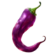 spicy mariachi megaways purple perpper symbol