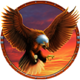 spirit of mustang west express eagle symbol
