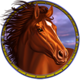 spirit of mustang west express red horse symbol