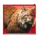 starlight jackpots bison rush lynx symbol