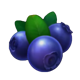 stunning crown cash mesh ultra blueberry symbol