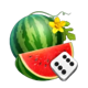 stunning crown cash mesh ultra dice watermelon symbol