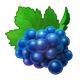 stunning crown cash mesh ultra grapes symbol