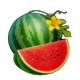 stunning crown cash mesh ultra melon symbol