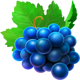 stunning crown extra grape symbol