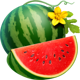 stunning crown extra watermelon symbol