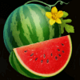 stunning crown watermelon symbol