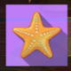 summer holidays star symbol