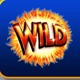 super monopoly money wild symbol