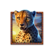 super stampede cheetah symbol