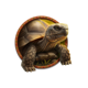 super stampede tortoise symbol