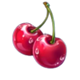 supercharged clovers hold and win cherry symbol