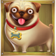 the big dog 3 house dog symbol