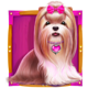 the big dog house dog 2 symbol