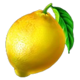the burning five lemon symbol
