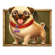 the dog house megaways 1000 beige puppy symbol