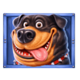 the dog house megaways 1000 black puppy symbol