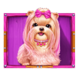 the dog house megaways 1000 bow puppy symbol