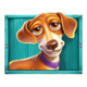 the dog house megaways 1000 brown puppy symbol