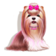 the dog house multihold terrier symbol