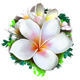 the hive whiteflower symbol