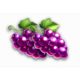 the king crimson crown grape symbol